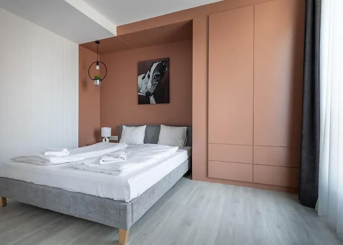 Haven - Design Meets Comfort